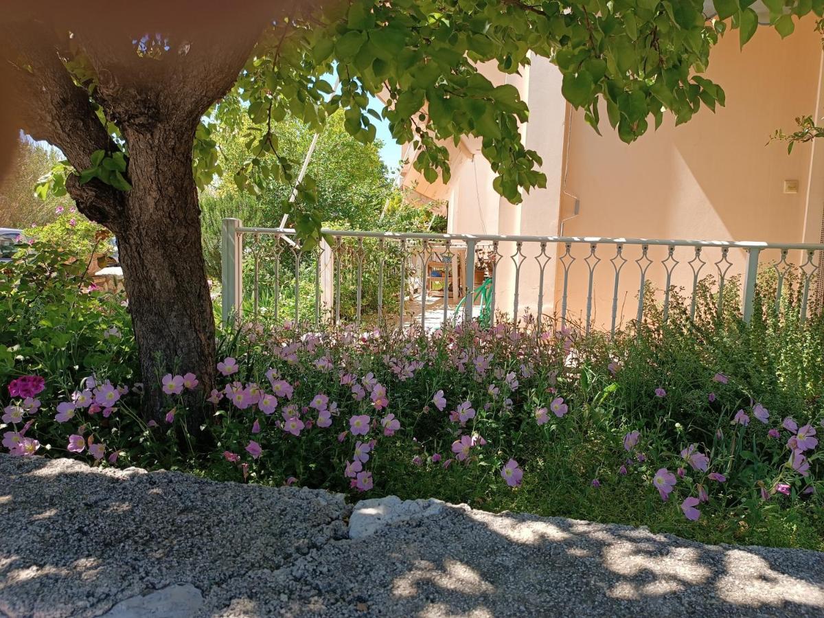 Marilia House * Lefkada City